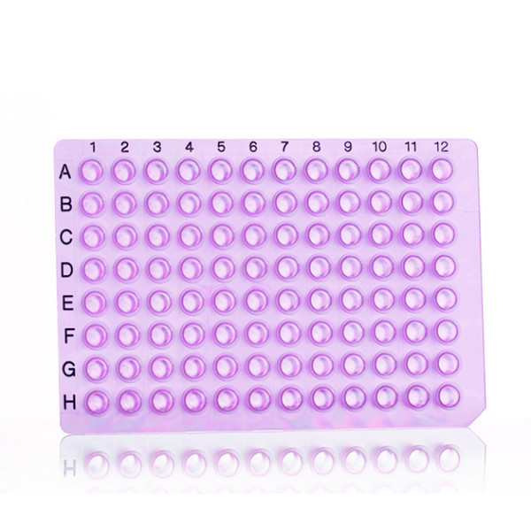 Artikelbild 1 des Artikels 96 Well PCR Plate, purple
