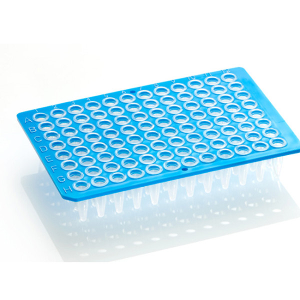 Artikelbild 1 des Artikels FrameStar 96 PCR Plate, clear Wells, blue Frame