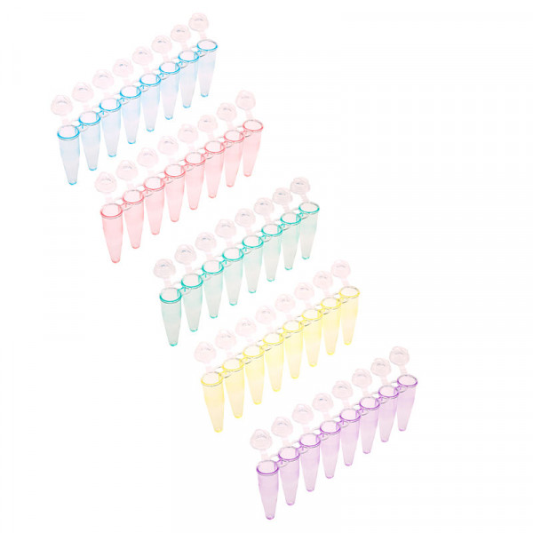 Artikelbild 1 des Artikels PCR SingleCap 8er-SoftStrips 0.2 ml, farblich