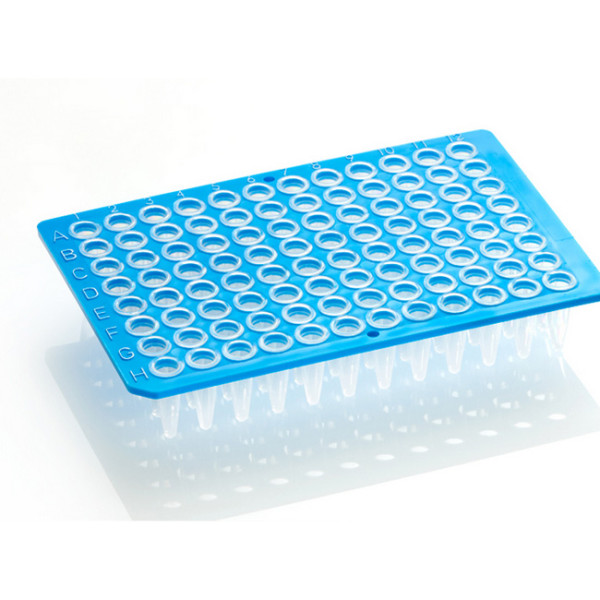 Artikelbild 1 des Artikels FrameStar 96 PCR Plate, clear Wells, blue Frame