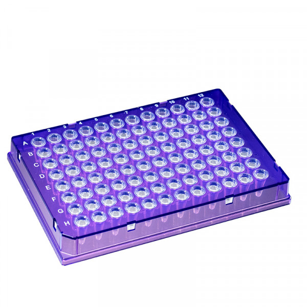 Artikelbild 1 des Artikels Caretta 96-Well PCR Platten, violett, farblos