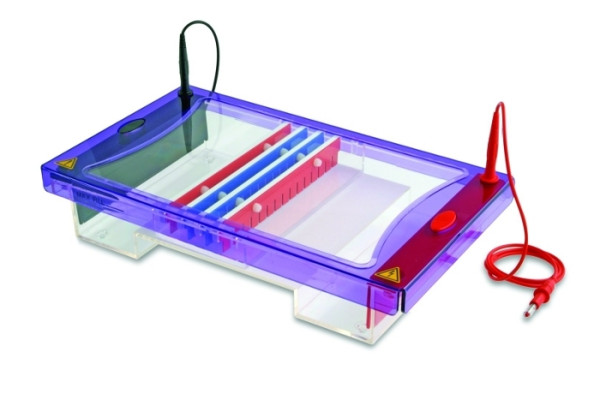 Artikelbild 1 des Artikels EasyPhor Maxi Gelelektrophorese Kammer 20x25 cm